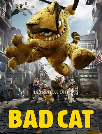 bad-cat-2016
