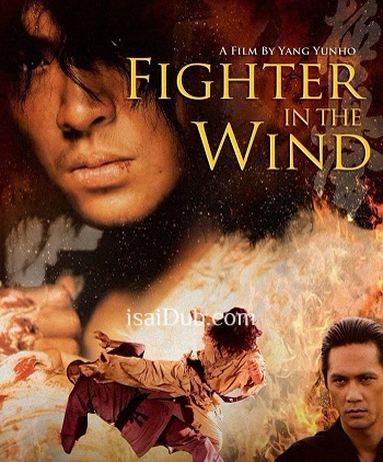 fighter-in-the-wind-2004