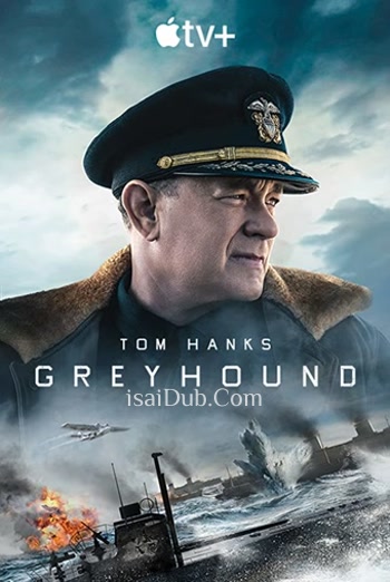 greyhound-2020